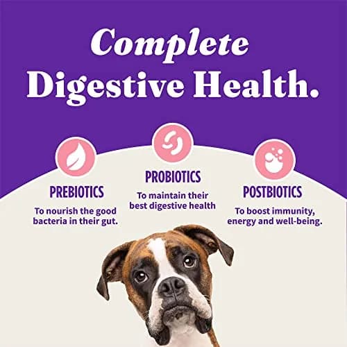 Halo Holistic Dry Dog Food, Wild-Caught Salmon & Whitefish Recipe, 3.5 lb | Supports Digestive & Skin Health thumbnail 8