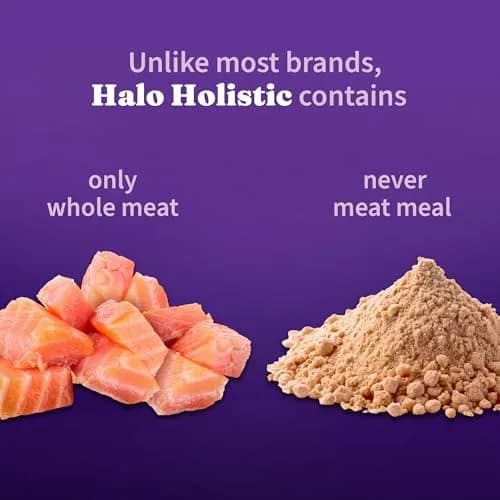 Halo Holistic Dry Dog Food, Wild-Caught Salmon & Whitefish Recipe, 3.5 lb | Supports Digestive & Skin Health thumbnail 3