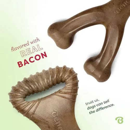 Benebone 2-Count Wishbone/Dental Dog Chew Toys, Small | Real Bacon, Durable Nylon, Made in USA thumbnail 2