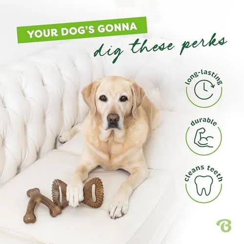 Benebone 2-Count Wishbone/Dental Dog Chew Toys, Small | Real Bacon, Durable Nylon, Made in USA thumbnail 3
