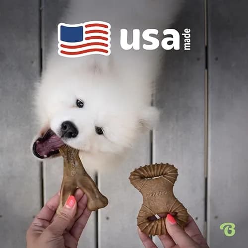 Benebone 2-Pack Wishbone/Dental Durable Dog Chew Toys, Real Bacon, Large (1.3 lb / 0.6 kg) thumbnail 5