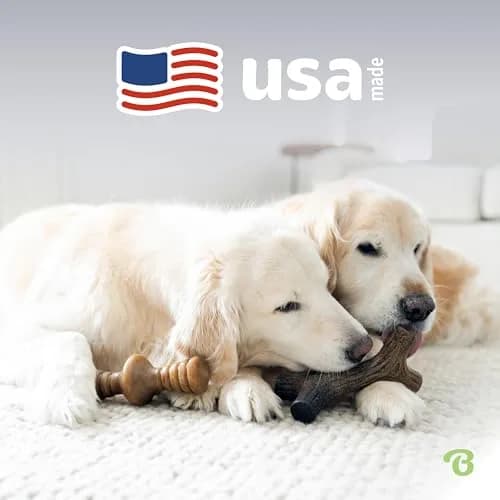 Benebone 2-Pack Maplestick/Zaggler Durable Dog Chew Toys, Small | Real Bacon & Maple Flavors, Made in USA thumbnail 5