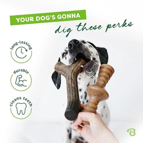 Benebone 2-Pack Maplestick & Zaggler Durable Dog Chew Toys, Large | Real Bacon & Maple Flavors, Made in USA thumbnail 3