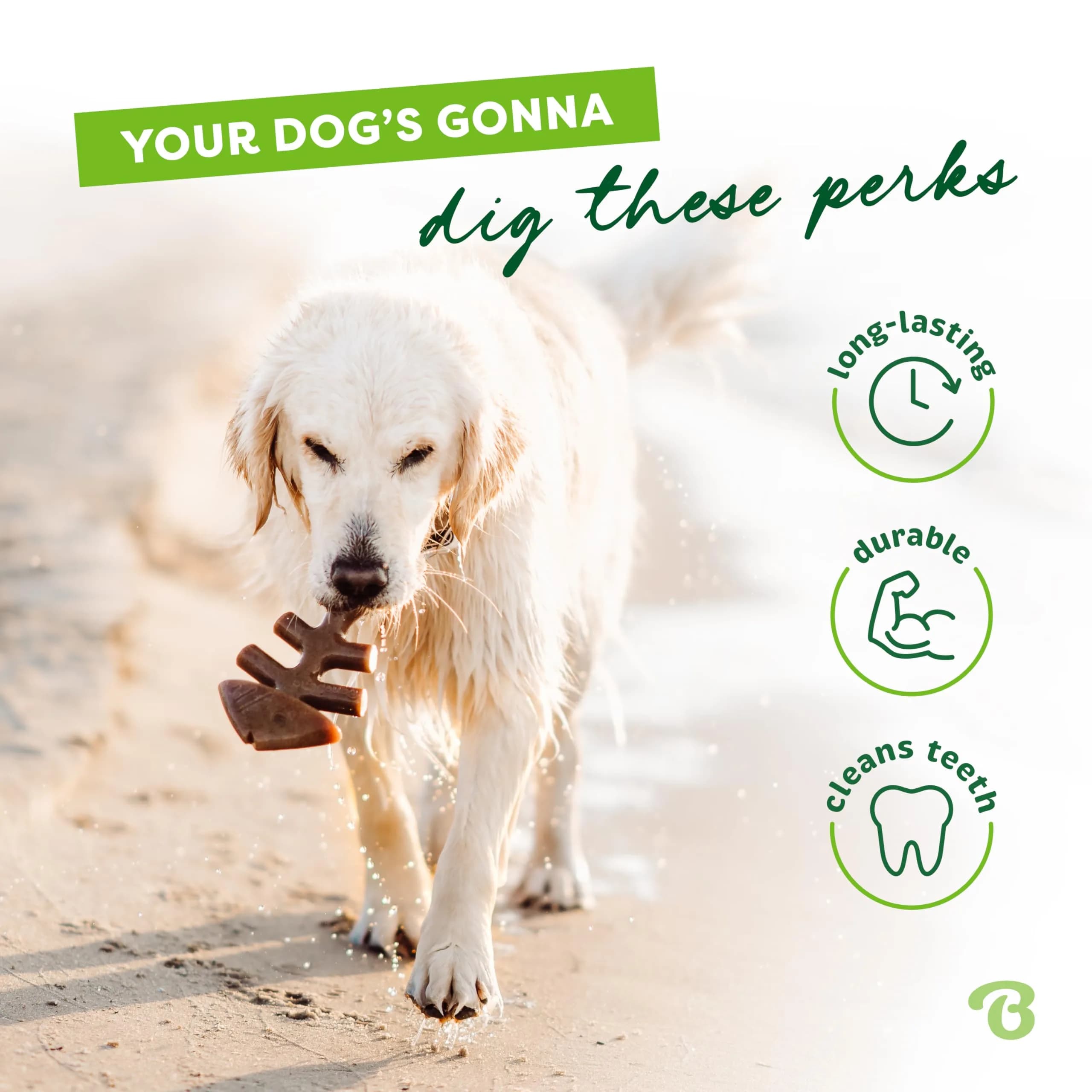 Benebone Brown Fishbone Dental Dog Chew Toy, Tiny 2-Pack for Aggressive Chewers - view 3