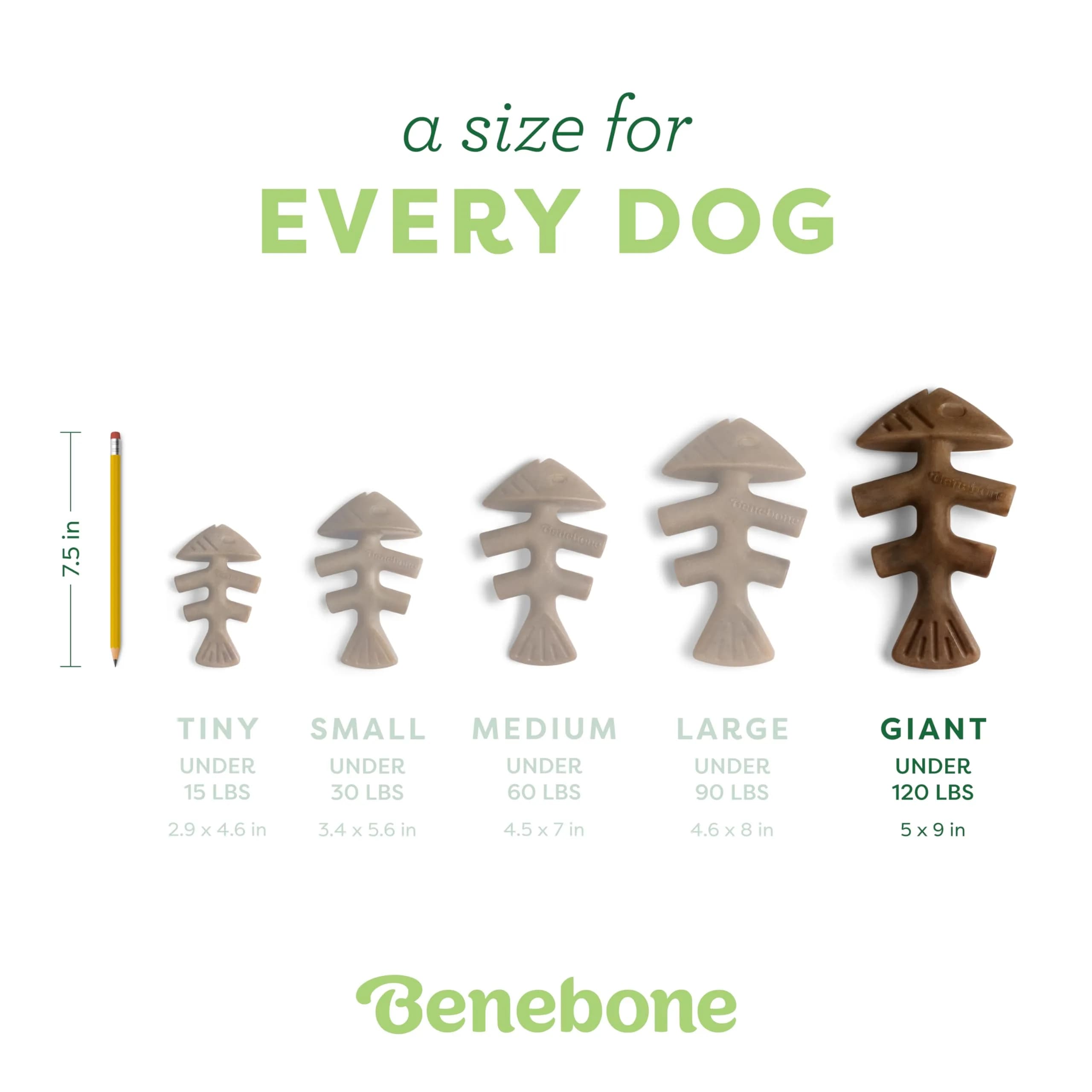 Benebone Giant Fishbone Dental Dog Chew Toy for Aggressive Chewers, Real Fish, Made in USA - view 4