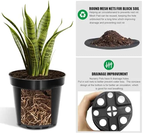 RooTrimmer 40 Pack 4 Inch Nursery Pots with Mesh Pad | Sturdy Plastic Flower Planters for Indoor & Outdoor Use thumbnail 3