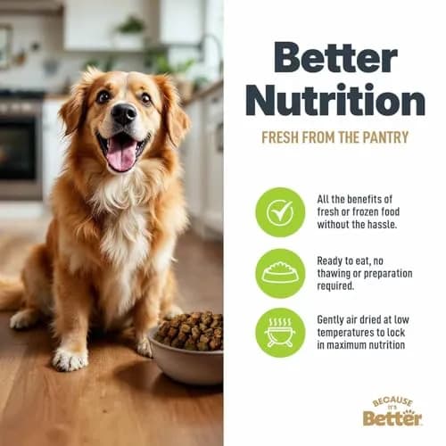 Because It's Better Air-Dried Dog Food, Chicken & Veggies, 1 lb | Slow-baked, grain-free nutrition for all dogs thumbnail 5