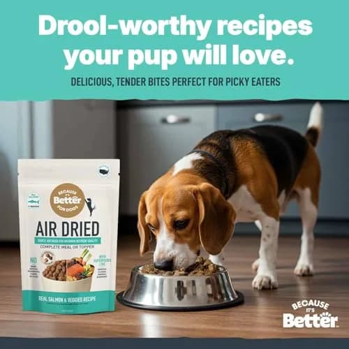 Because It's Better Air-Dried Dog Food, Salmon & Veggies, 1 lb | Supports Healthy Skin & Coat thumbnail 4
