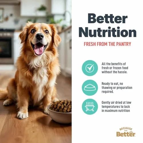Because It's Better Air-Dried Dog Food, Salmon & Veggies, 1 lb | Supports Healthy Skin & Coat thumbnail 5