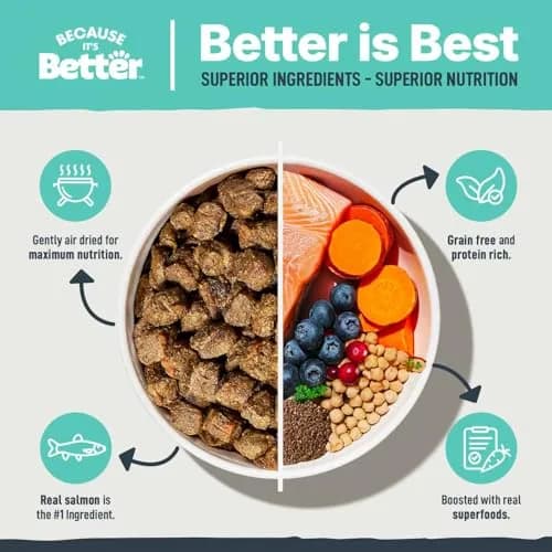 Because It's Better Air-Dried Dog Food, Salmon & Veggies, 1 lb | Supports Healthy Skin & Coat thumbnail 2
