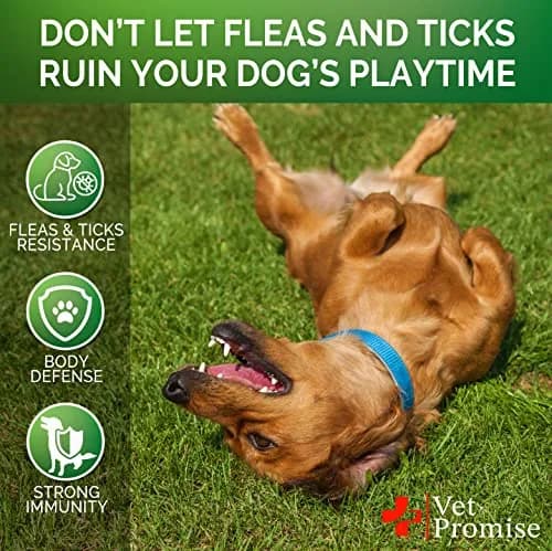 Vet Promise Flea and Tick Prevention for Dogs Chewables 120 Chews | Natural Flea & Tick Control thumbnail 4