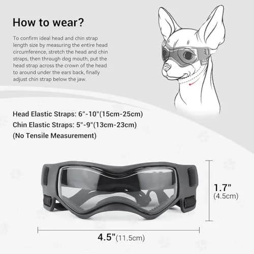 Enjoying Cool Black Dog Goggles for Small Breeds | UV Protection, Windproof & Adjustable thumbnail 4