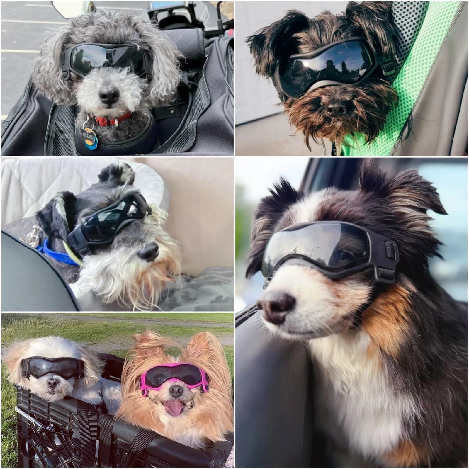 Enjoying Cool Black Dog Goggles for Small Breeds | UV Protection, Windproof & Adjustable - view 2