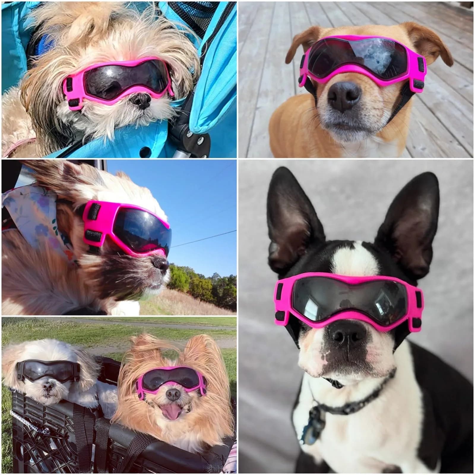Enjoying Cool Pink Small Breed Dog Goggles - UV Protection, Windproof, Adjustable - view 2