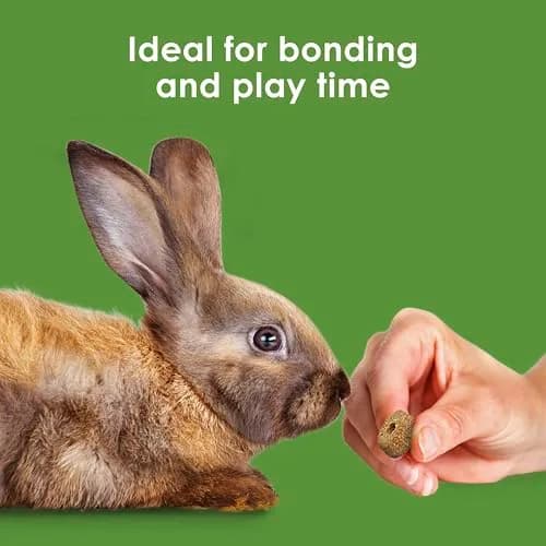 Kaytee Timothy Biscuits Baked Treat with Apple for Rabbits, Guinea Pigs, Chinchillas, Hamsters, Gerbils, and Mice, 10 oz (283.5 g) thumbnail 4