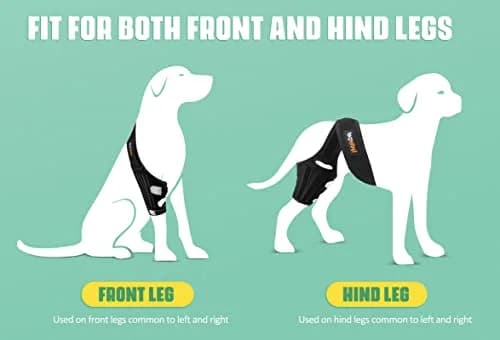 Lyderpet Dog ACL Brace for Rear Leg XL | Supports Cruciate Ligament Injuries & Post-Surgery Recovery thumbnail 4