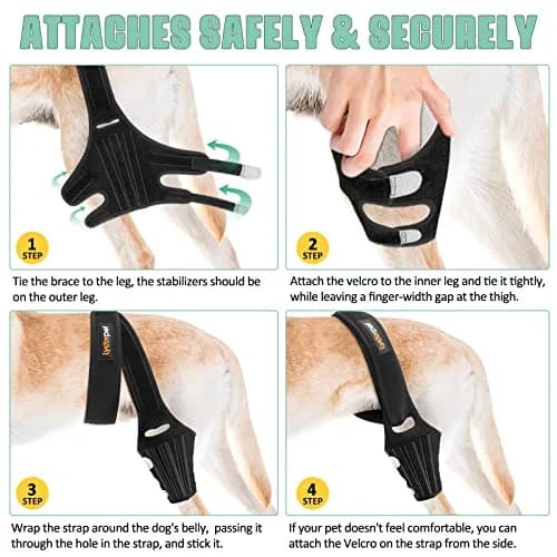 Lyderpet Dog ACL Brace for Rear Leg XL | Supports Cruciate Ligament Injuries & Post-Surgery Recovery thumbnail 6