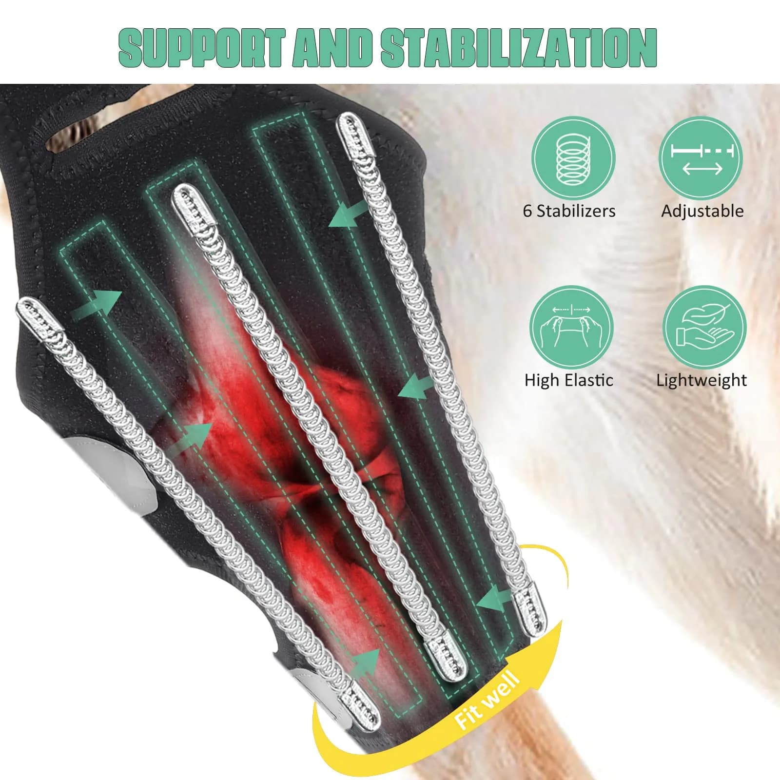 Lyderpet Dog Knee Brace for Torn ACL Hind Leg, Rear Leg Cruciate Ligament Support for Large Dogs | Stabilizes Joint Pain - view 2