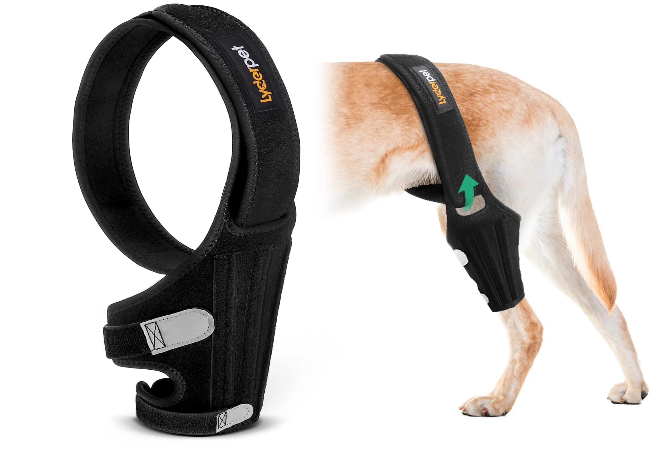 Lyderpet Dog Knee Brace for Torn ACL Hind Leg, Medium Size | Strong Support for Joint Care - main product image
