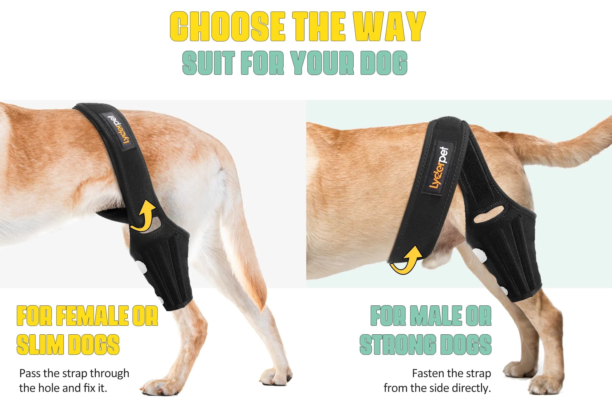 Lyderpet Dog Knee Brace for Torn ACL Hind Leg, Medium Size | Strong Support for Joint Care - view 5