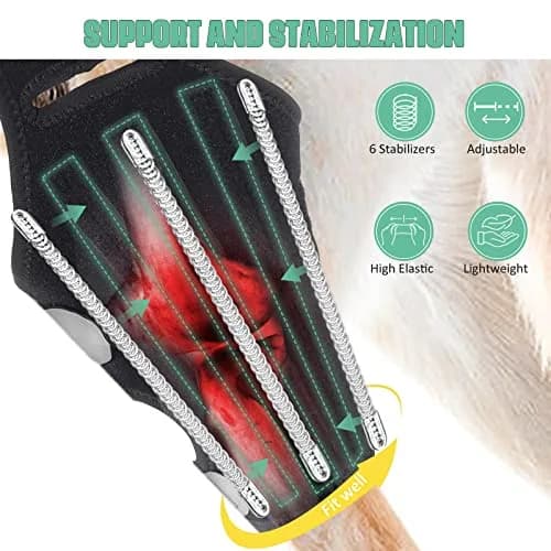 Lyderpet Dog Knee Brace for Torn ACL Hind Leg, Medium Size | Strong Support for Joint Care thumbnail 2