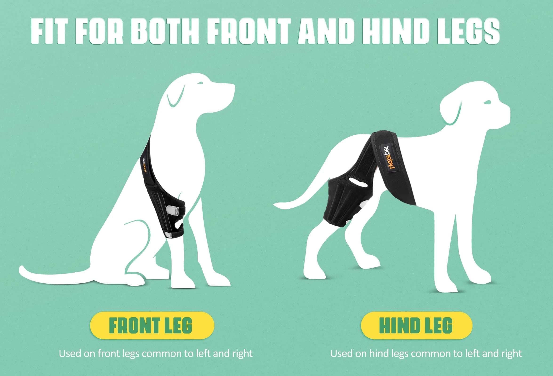 Lyderpet Dog Knee Brace for Torn ACL Hind Leg, Medium Size | Strong Support for Joint Care - view 4