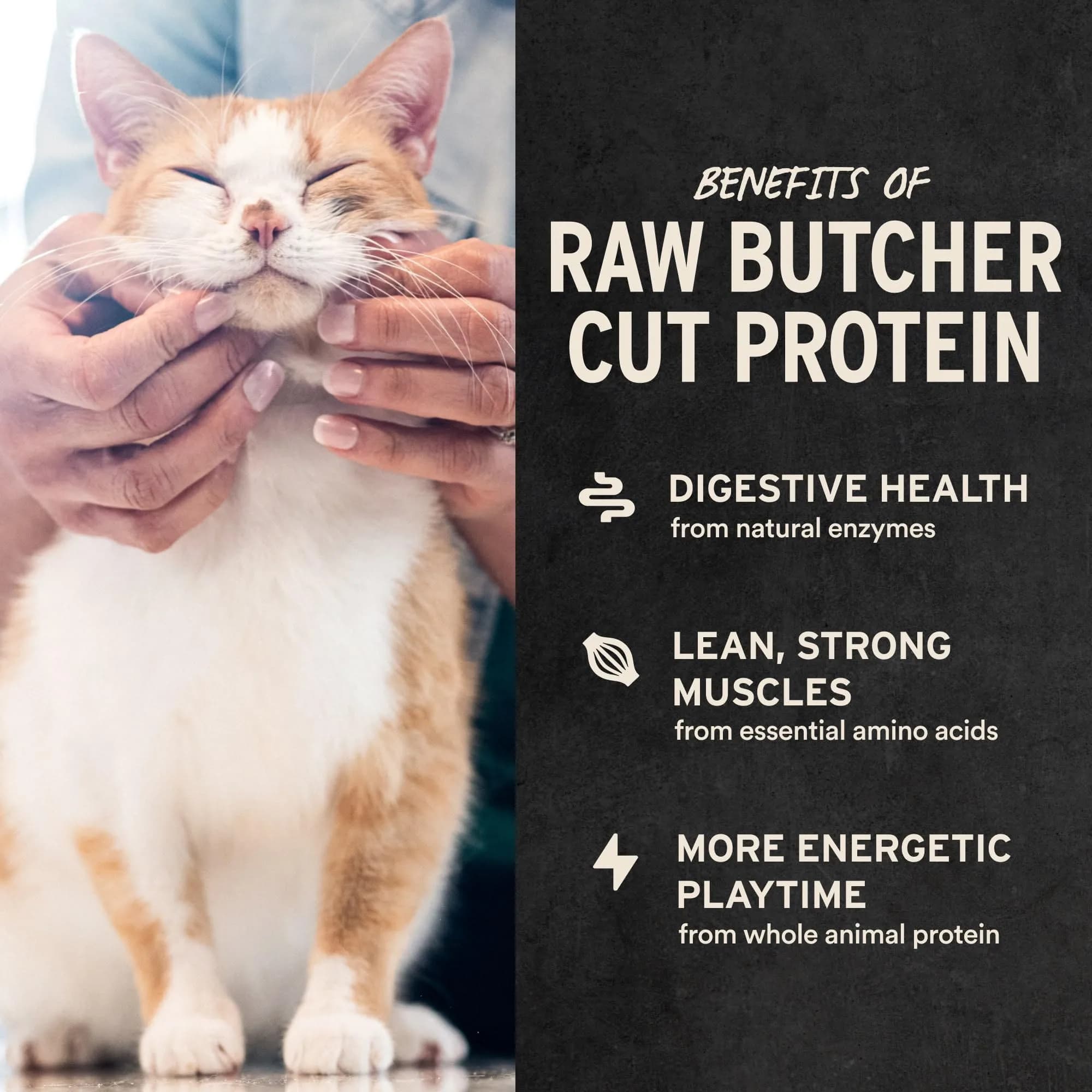 Vital Essentials Freeze Dried Raw Chicken Hearts Cat Treats 0.8 oz (22.7 g) | High Protein Single Ingredient Snack - view 4