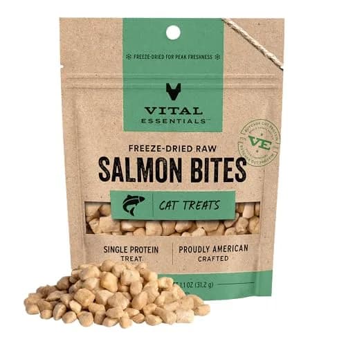 Vital Essentials Freeze Dried Salmon Cat Treats 1.1 oz (31 g) | High Protein Raw Cat Food