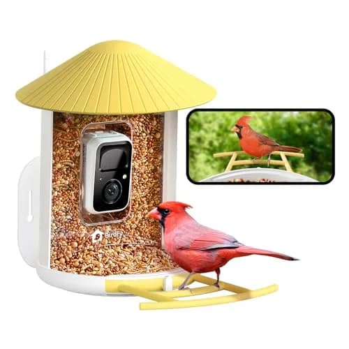 NETVUE Birdfy Smart Bird Feeder with AI Camera | Wireless Outdoor Birdwatching Camera in Yellow (8 x 7 x 11 inches) thumbnail 1