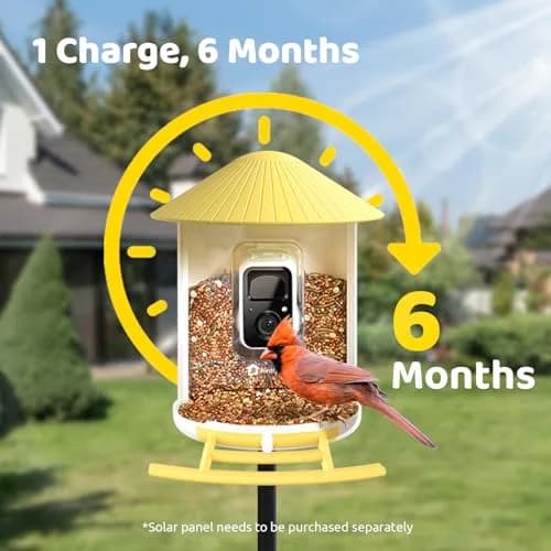 NETVUE Birdfy Smart Bird Feeder with AI Camera | Wireless Outdoor Birdwatching Camera in Yellow (8 x 7 x 11 inches) thumbnail 7