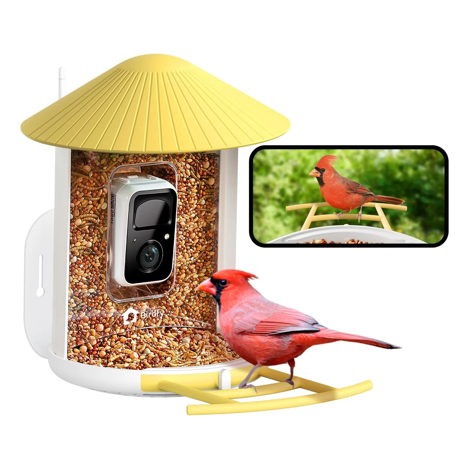 NETVUE Birdfy Smart Bird Feeder with AI Camera | Wireless Outdoor Birdwatching Camera in Yellow (8 x 7 x 11 inches)