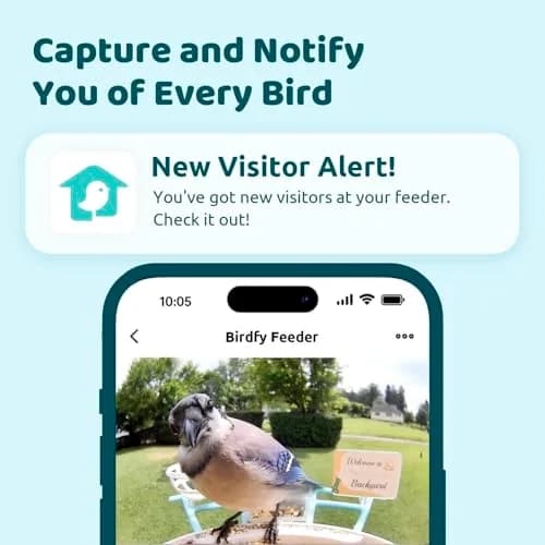 NETVUE Birdfy Smart Bird Feeder with AI Camera | Wireless Outdoor Birdwatching Camera in Yellow (8 x 7 x 11 inches) thumbnail 2