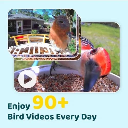 NETVUE Birdfy Smart Bird Feeder with AI Camera | Wireless Outdoor Birdwatching Camera in Yellow (8 x 7 x 11 inches) thumbnail 3