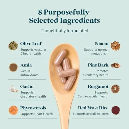Pattern Wellness Cholesterol Complex Supplement – 90 Vegan Capsules | Supports Heart Health & Wellness thumbnail 4