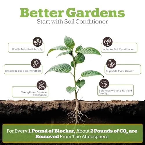 Wakefield BioChar – Premium Garden Soil Conditioner – OMRI Listed, Bio Char for Raised Gardens, Potting Mix, Lawns – 1 cu/ft (25 pounds) thumbnail 2