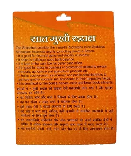 BHAKTI SHRINGAR 7 Mukhi Rudraksha Pendant with Silver Capping | Lab Certified for Men & Women thumbnail 2