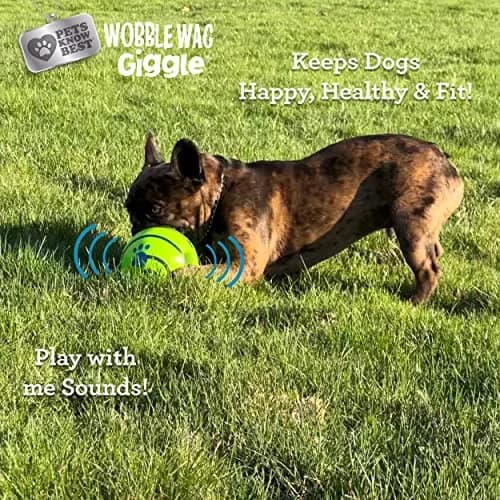 Wobble Wag Giggle Ball 2 Pack | Interactive Dog Toy with Giggle Sounds, Glow & Non-Toxic Vinyl (5.5") thumbnail 5