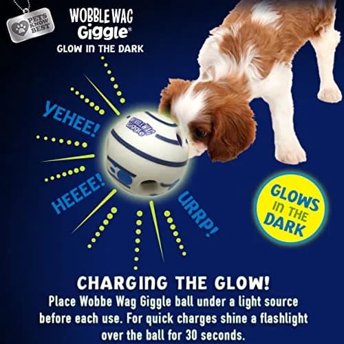 Wobble Wag Giggle Ball 2 Pack | Interactive Dog Toy with Giggle Sounds, Glow & Non-Toxic Vinyl (5.5") thumbnail 6
