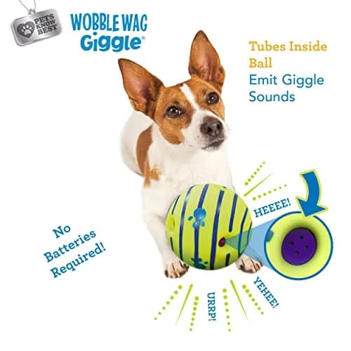 Wobble Wag Giggle Ball 2 Pack | Interactive Dog Toy with Giggle Sounds, Glow & Non-Toxic Vinyl (5.5") thumbnail 3