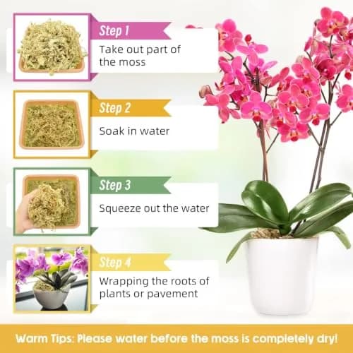 Legigo Natural Sphagnum Moss for Plants — 60 QT (1.49 kg) | Premium Long Fibers for Orchids, Succulents, Carnivorous Plants thumbnail 4