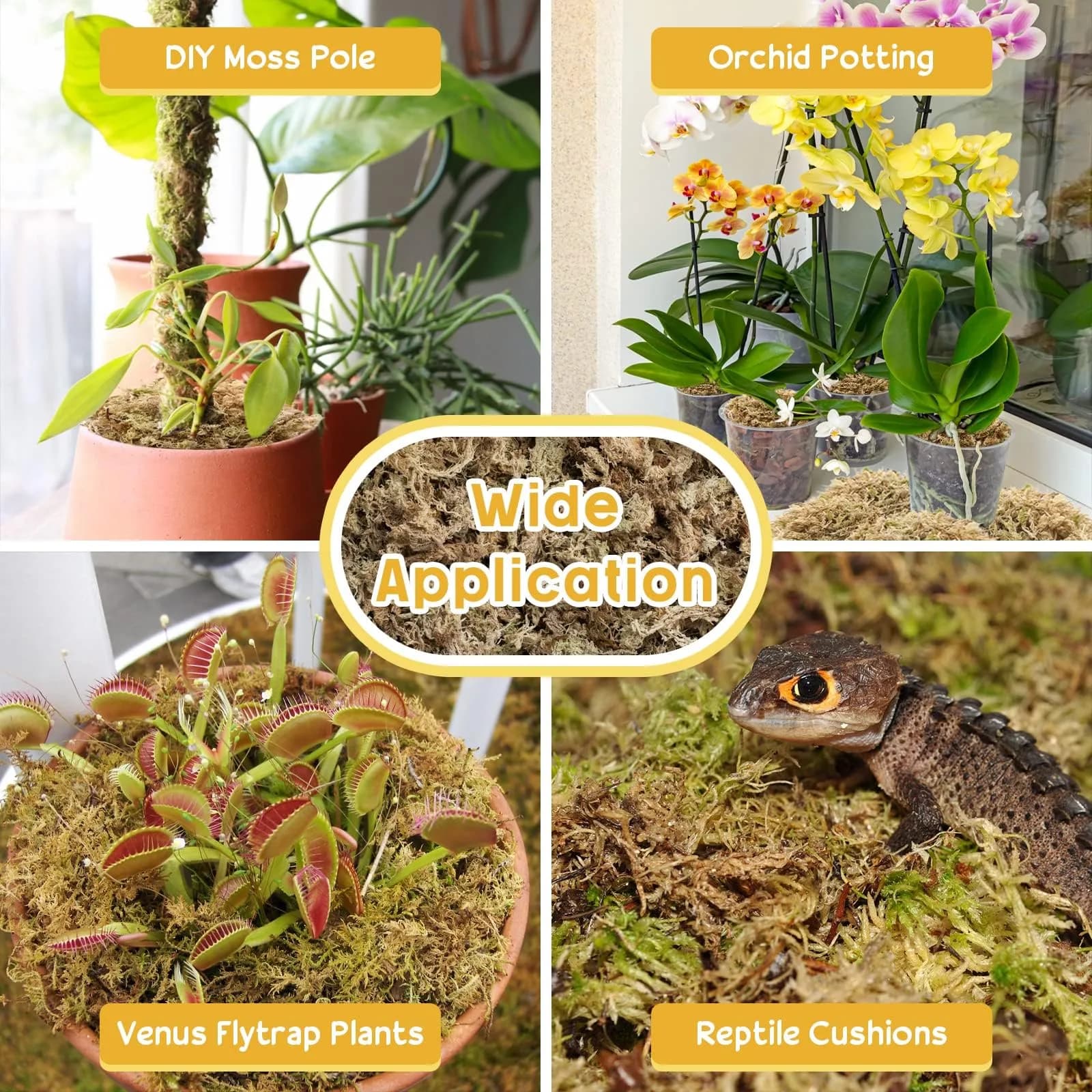 Legigo Natural Sphagnum Moss for Plants — 60 QT (1.49 kg) | Premium Long Fibers for Orchids, Succulents, Carnivorous Plants - view 5