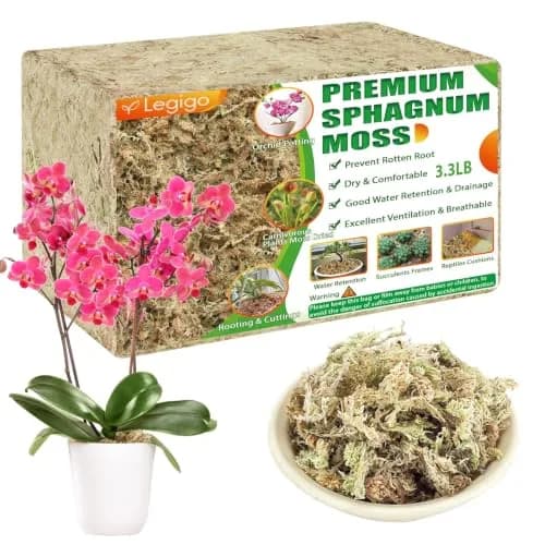 Legigo Natural Sphagnum Moss for Plants — 60 QT (1.49 kg) | Premium Long Fibers for Orchids, Succulents, Carnivorous Plants thumbnail 1