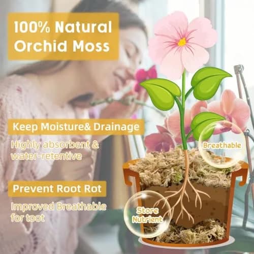 Legigo Natural Sphagnum Moss for Plants — 60 QT (1.49 kg) | Premium Long Fibers for Orchids, Succulents, Carnivorous Plants thumbnail 3