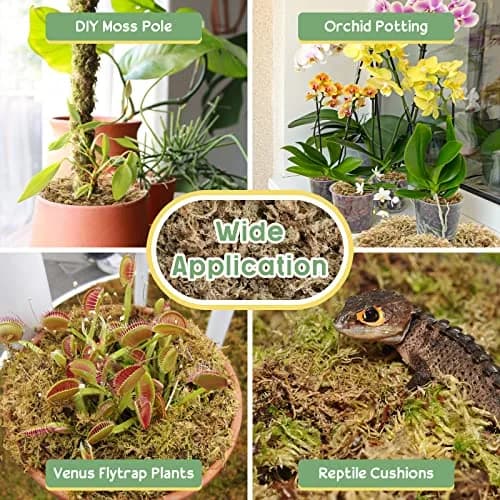 Legigo 4.4LB Sphagnum Moss for Plants | Moisture Retention & Root Growth Support thumbnail 5