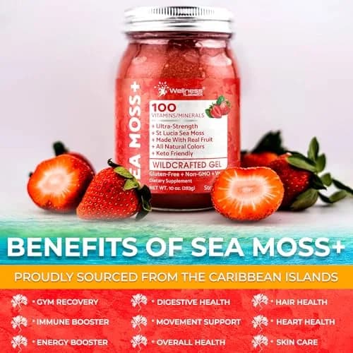 WELLNESS LABSRX Strawberry Sea Moss Gel 300ml (10 Fl Oz) | Nutrient-Rich Superfood for Wellness thumbnail 7