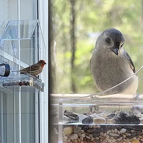 Forfuture-go Bird Feeder Birds House for Outdoor Window Wild Birds, Cardinal, Bluebird | Acrylic, Clear, 5.91in x 2.36in x 5.91in thumbnail 5