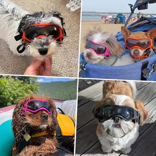 PETLESO Small Breed Dog Goggles UV Protection Puppy Eyewear for Outdoor Riding Driving, Orange S | Curved Lens & Soft Frame thumbnail 7