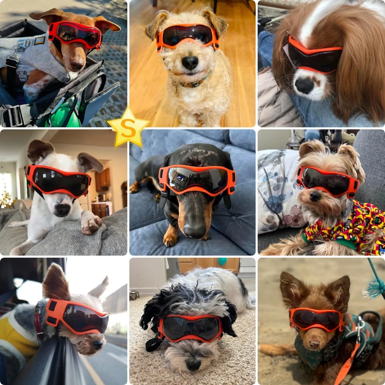 PETLESO Small Breed Dog Goggles - Sporty Orange Pet Sunglasses for Outdoor Adventures - view 2