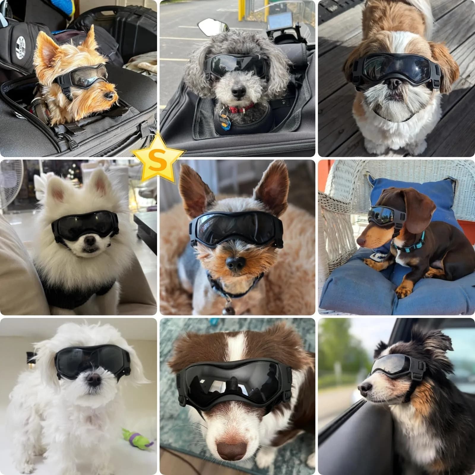 PETLESO Small Breed Black Dog Goggles - Anti-UV Pet Sunglasses for Small Dogs - view 2