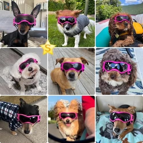 PETLESO Pink Dog Goggles for Small Breeds | UV Protection for Outdoor Riding & Driving thumbnail 2